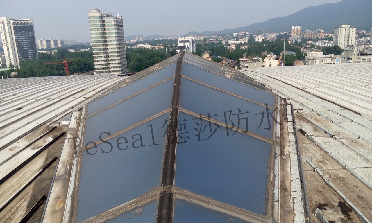 南京国际展览中心屋面防水防腐 - 苏州德莎工程案例