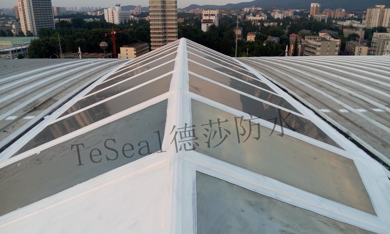 南京国际展览中心展馆屋面防水防腐完工效果 - 苏州德莎